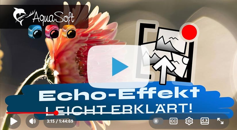 Video anschauen: Echo statt Kopieren: Inhalte effizient mehrfach einsetzen